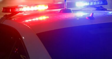US police warn against 'AI Homeless Man' prank