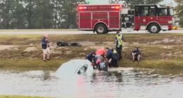 Video shows dramatic rescue of woman from car submerged in South Carolina pond