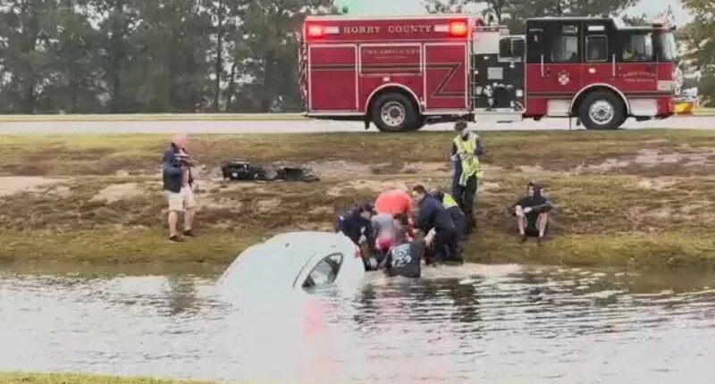 Video shows dramatic rescue of woman from car submerged in South Carolina pond