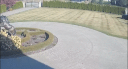 Video shows gunman ‘lying in wait’ to ambush businessman outside estate as police hunt shooter: prosecutor