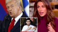'View' co-host praises former boss Trump for 'massive diplomatic achievement' in hostage deal