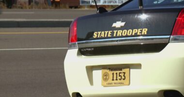 Viral traffic stop costs TSA employee her job and raises questions for federal workers