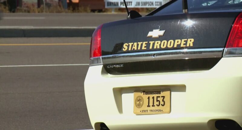 Viral traffic stop costs TSA employee her job and raises questions for federal workers