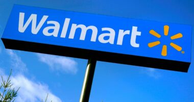 Walmart partners with OpenAI to enable shopping through ChatGPT