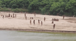 Warning isolated Indigenous groups could vanish within a decade