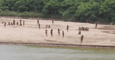 Warning isolated Indigenous groups could vanish within a decade