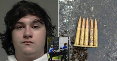 Was Joshua Jahn A Democrat or Republican Supporter? Here Is What We Know