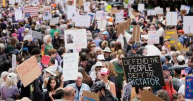 Watch live: 'No Kings' protests held across the country