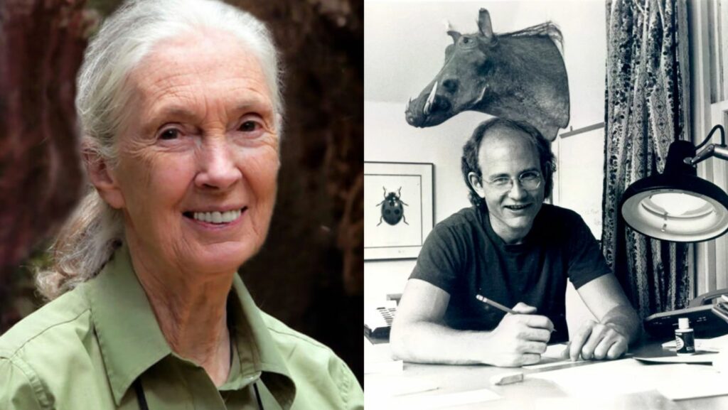 What Happened With Cartoonist Gary Larson and Jane Goodall?