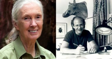 What Happened With Cartoonist Gary Larson and Jane Goodall?