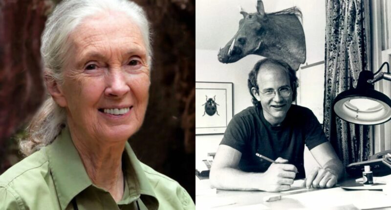 What Happened With Cartoonist Gary Larson and Jane Goodall?