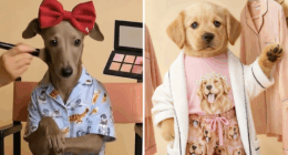 Posts showing the AI-generated dogs featured in Peter Alexander's campaign copped plenty of backlash on Instagram.
