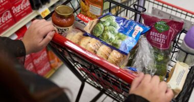 When do SNAP benefits run out?