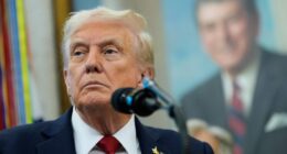 White House dismisses majority of National Council on the Humanities
