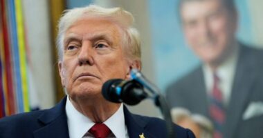 White House dismisses majority of National Council on the Humanities