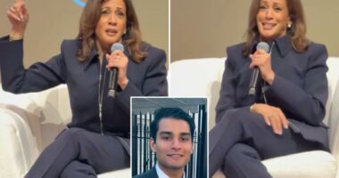 White House mocks Kamala Harris’ ‘cackle’ after she suggests Trump admin is ‘crazy’ at LA event 
