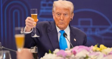 Whole Hog Politics: What’s at stake for Trump’s agenda on Tuesday