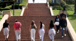 Why America has lost faith in college and what to do about it