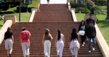 Why America has lost faith in college and what to do about it