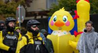 Why do people wear inflatable costumes to 'No Kings' protests?