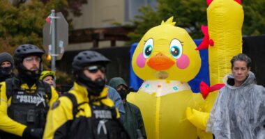 Why do people wear inflatable costumes to 'No Kings' protests?