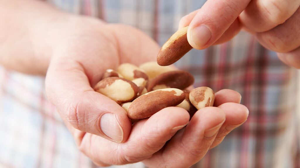 Why eating nuts WON'T make you fat, experts reveal