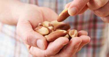 Why eating nuts WON'T make you fat, experts reveal