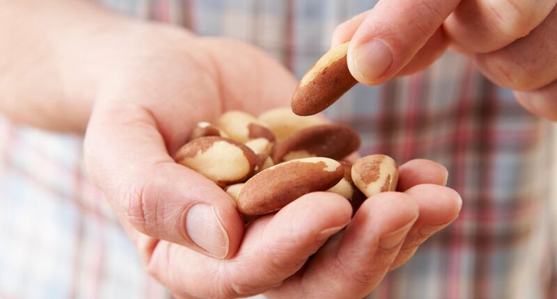 Why eating nuts WON'T make you fat, experts reveal