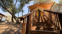Wildhaven defines glamping - ABC7 Los Angeles