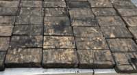 Cocaine seizure Australia