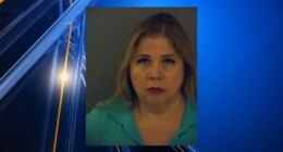 Woman arrested after admitting to fabricating burglary, assault story
