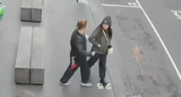 CCTV footage has shown the moment a woman was randomly stabbed in broad daylight while walking to work at a sushi restaurant in Melbourne's CBD. ﻿