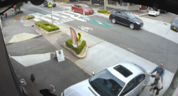 Leichhardt cafe crash