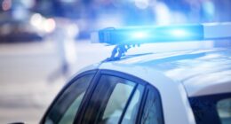 Woman shot after allegedly attempting to hit ICE agents with car