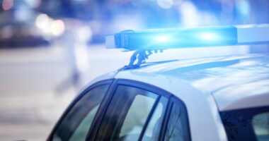 Woman shot after allegedly attempting to hit ICE agents with car
