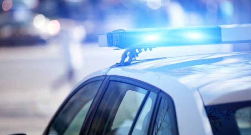 Woman shot after allegedly attempting to hit ICE agents with car