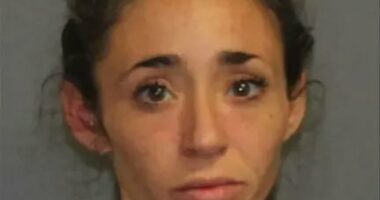 Woman spikes her husband's wine with antifreeze amid custody battle