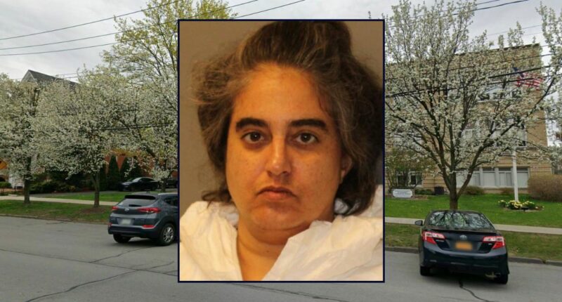 Woman stabbed, nearly killed dad over 'clogged toilet