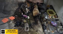 Woman with MS found dead living in filthy bed: Coroner