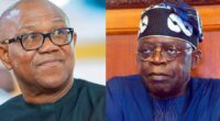 “Yahoo boys are genius, redirect their talent for national growth” – Peter Obi