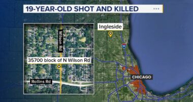 Yurem Mejia-Gomez, of Round Lake Beach, charged in 19-year-old's Ingleside shooting death in 35700-block of North Wilson Road
