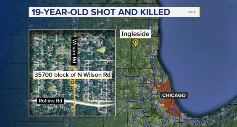 Yurem Mejia-Gomez, of Round Lake Beach, charged in 19-year-old's Ingleside shooting death in 35700-block of North Wilson Road