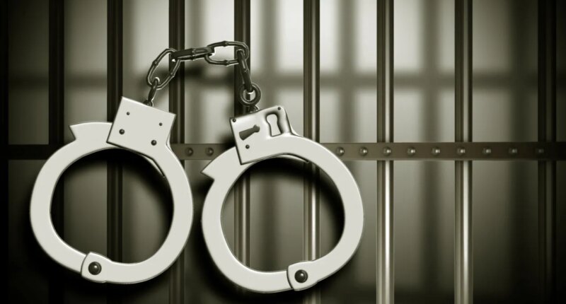 "What witness? What fingerprints?" DNA leads to Georgia man's arrest in 90's sexual assaults in N.Y.