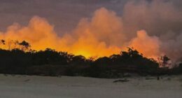 Moreton Island bushfire