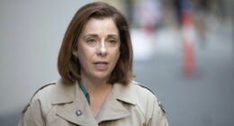 Federal Communications Minister MP Anika Wells Labor