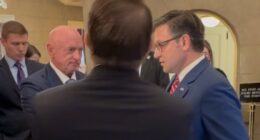 'Publicity stunt': Johnson confronts Dems over shutdown grievances