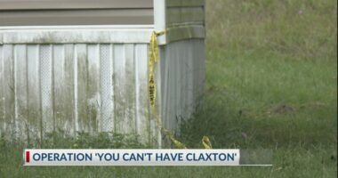 'The juveniles took Claxton': Resident, mayor react to recent shootings