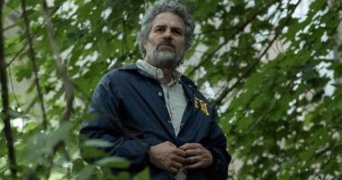 12 Best TV Shows Like HBO's Task