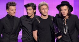 1D stars 'will reunite in multi-million pound deal' for Netflix series