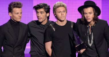 1D stars 'will reunite in multi-million pound deal' for Netflix series
